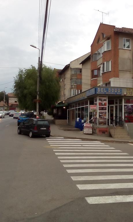 Garsoniera Del Dodo Apartment Alba Iulia Exterior photo